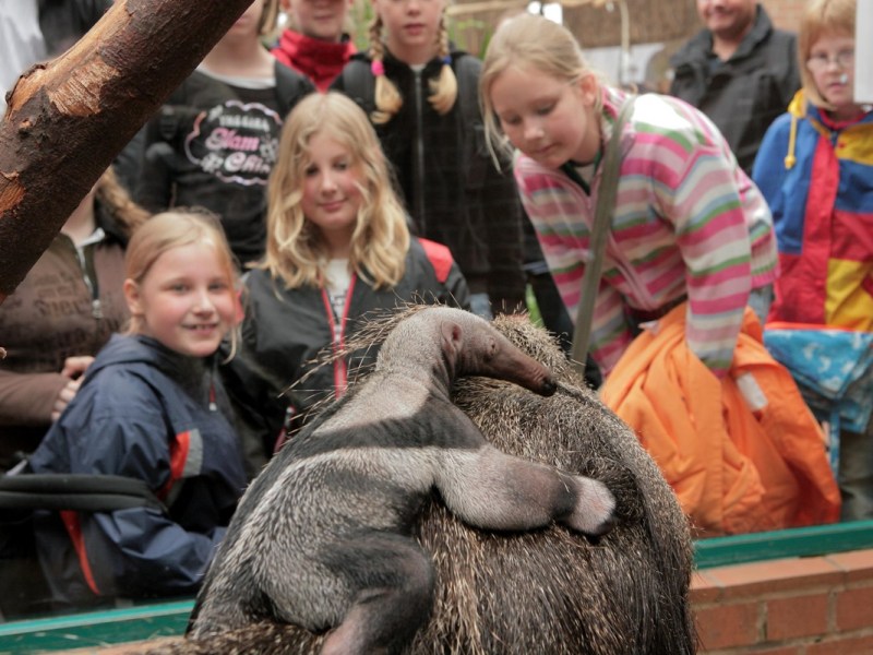 Zoo Dortmund teilt es Besuchern selbst mit – das gibt’s nirgendwo sonst auf der Welt