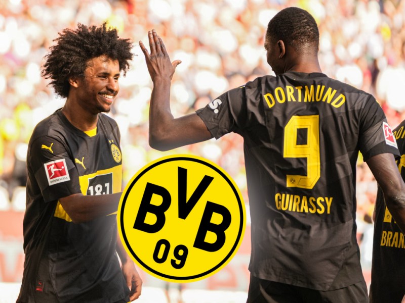 Liebeserklärung an Schwarz-Gelb! BVB-Star lässt Fan-Herzen höher schlagen