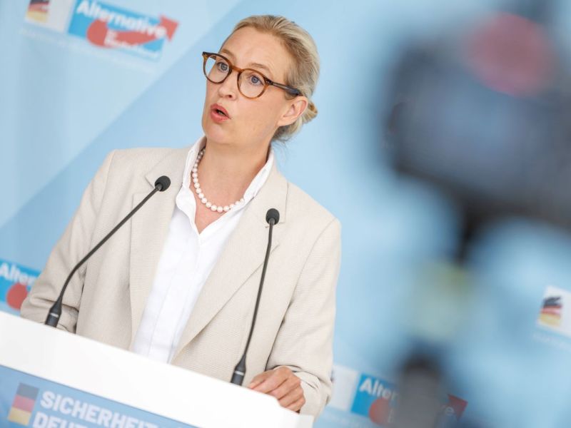 AfD mit Benimmregeln auf neuem Kurs – darauf wollen sie verzichten