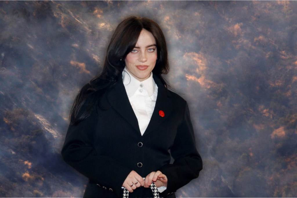 Billie Eilish engagiert sich aktiv für den Klimaschutz, indem sie ihre Touren möglichst nachhaltig gestaltet. Mit pflanzlicher Verpflegung, Verzicht auf Einwegplastik und Eco-Action-Ständen für Fans. Sie unterstützt außerdem soziale Projekte wie „Support + Feed“ und nutzt ihre Reichweite, um über Klimathemen aufzuklären. Mit Initiativen wie dem „Overheated“-Event und dem „Music Decarbonization Project“ setzt sie konkrete Zeichen für eine klimafreundlichere Musikindustrie.