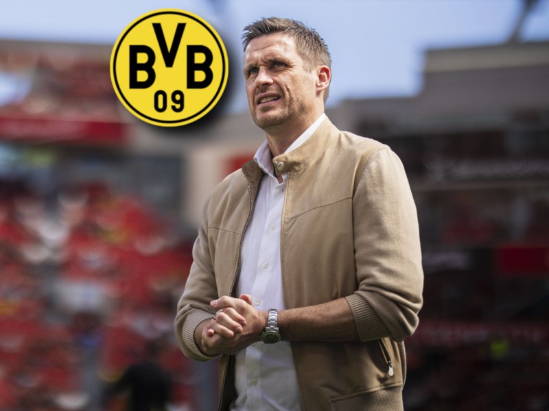 Sebastian Kehl verkündet es – DARAUF haben alle Fans von Borussia Dortmund gewartet