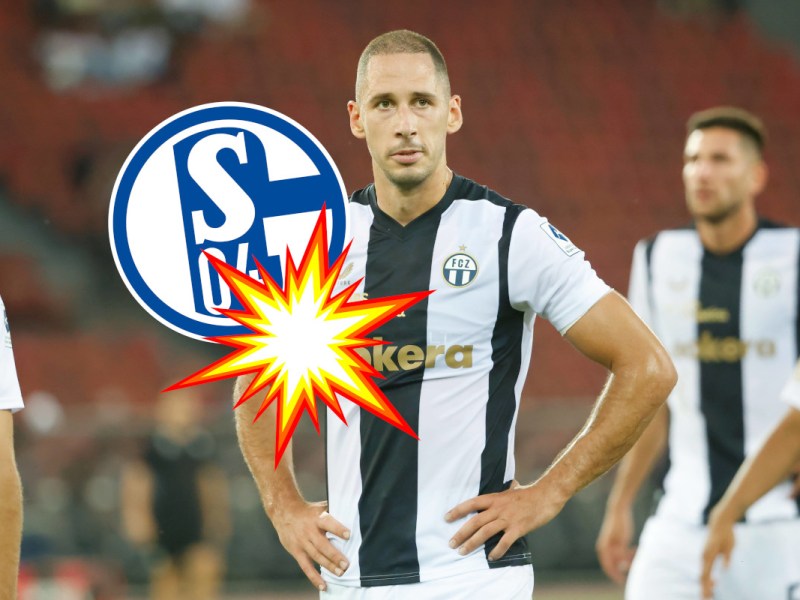 Katic-Wechsel zum FC Schalke 04 sorgt für Entsetzen – Fans außer sich