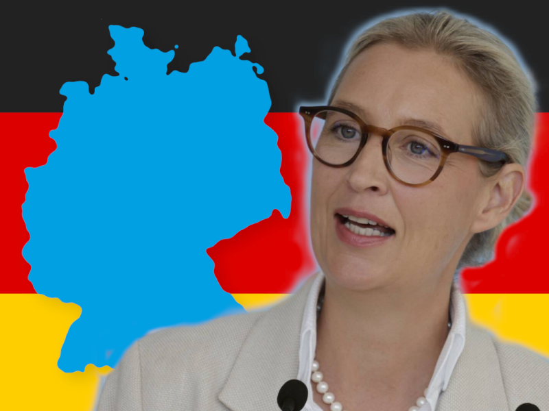 Immer mehr Deutsche wollen die AfD wählen – der Grund liegt auf der Hand
