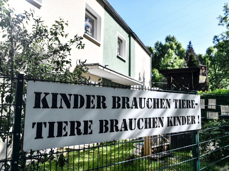 Mädchen kommt ins Tierheim Essen – was es in den Händen hält, macht die Mitarbeiter sprachlos