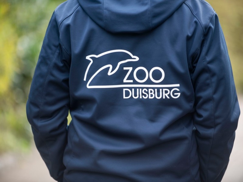 Pfleger blicken ins Gehege – monatelang ahnte niemand im Zoo Duisburg etwas davon