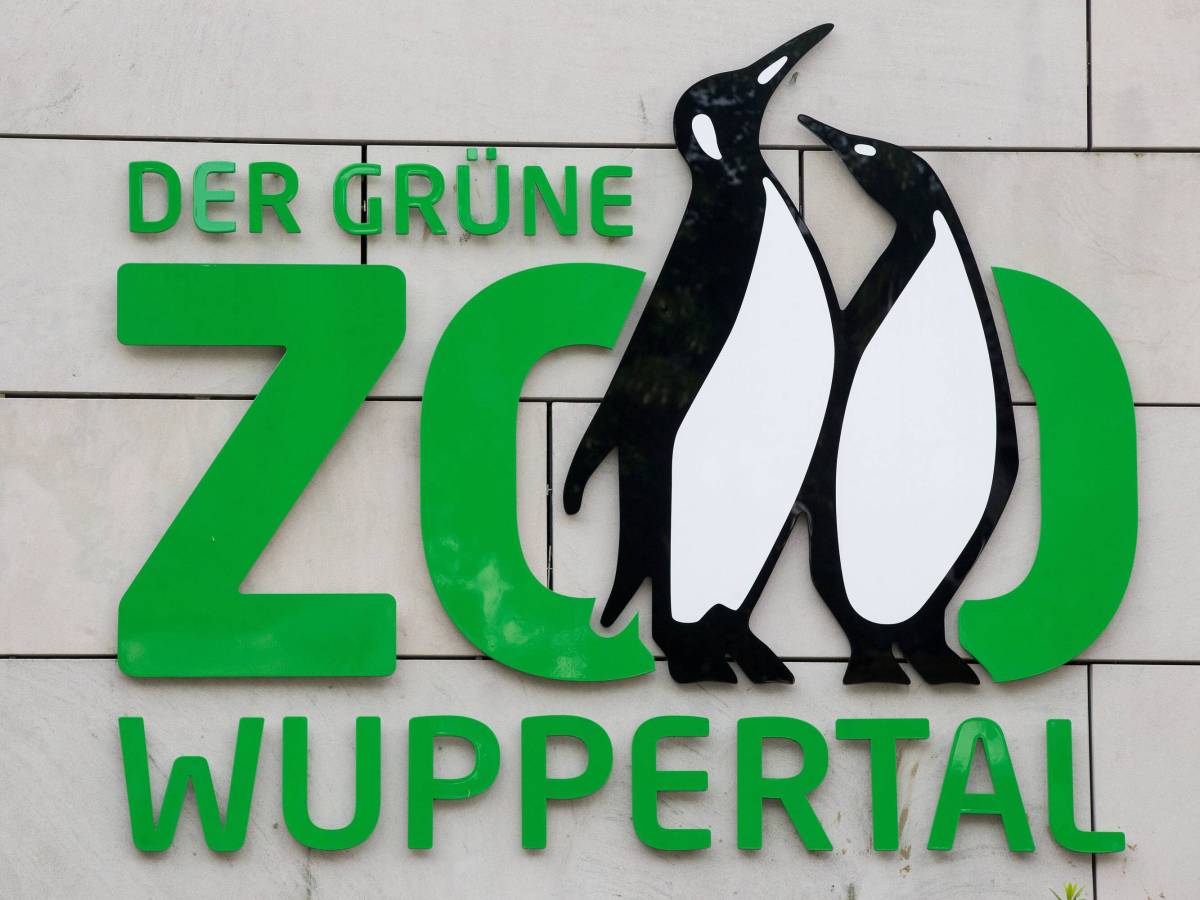 Zoo in NRW zeigt Bilder aus Gehege –  Überwachungskamera hielt alles fest!
