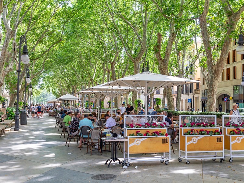 Bei über 30 Grad! Mallorca-Urlauber kriegen das große Staunen in Palma – „Ich kann nicht mehr“