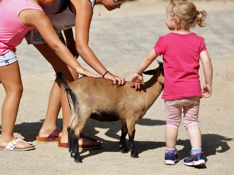 Nach trauriger Nachricht des Zoos Dortmund – Besucher können wieder aufatmen!