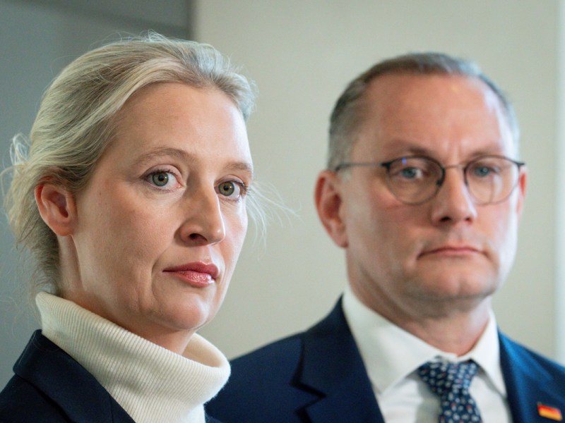 AfD blamiert sich mit Bürgergeld-Anfrage: Bezieher sind zu deutsch