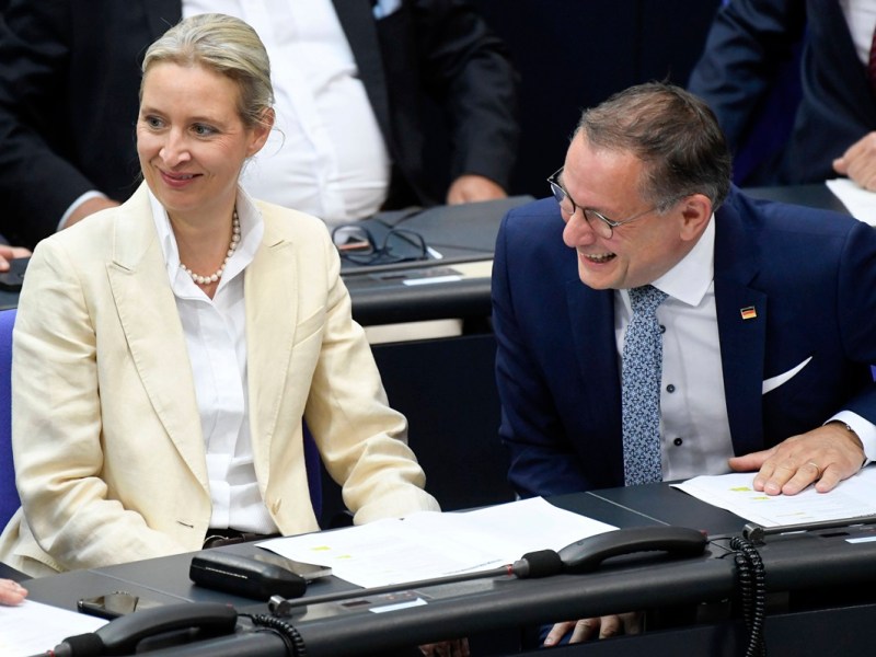 Die AfD hat immer mehr Stammwähler – komme, was wolle