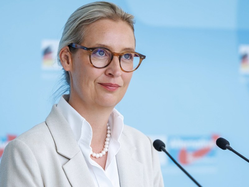 Weidel-Truppe frisst Kreide für die Macht – Höcke-Flügel sabotiert neue AfD-Strategie