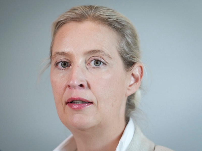 AfD in Ostdeutschland auf dem Vormarsch: Experte warnt vor dramatischem „Kipppunkt“