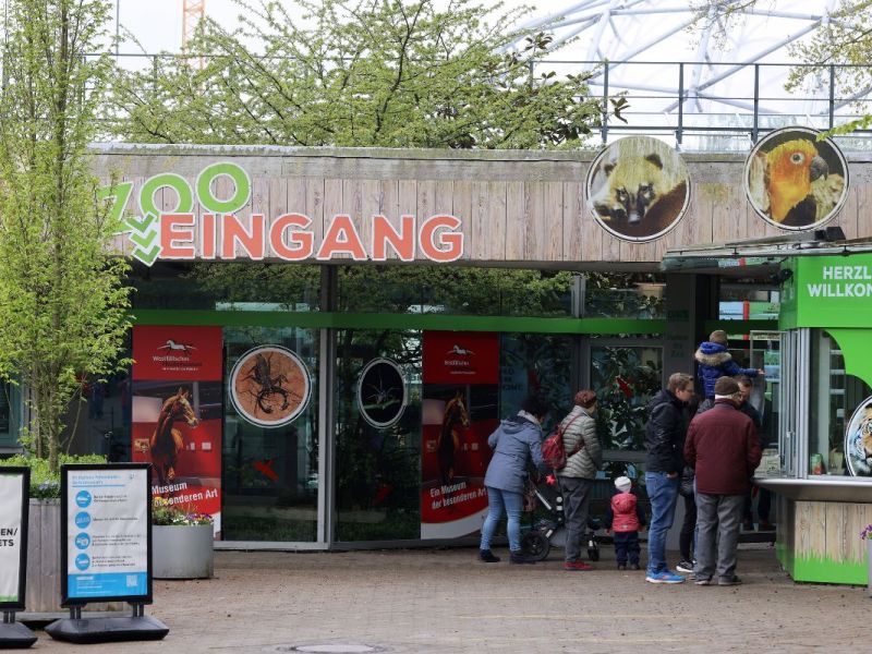 Wilde Tiere plötzlich außerhalb des Geheges gesichtet – NRW-Zoo erklärt sich