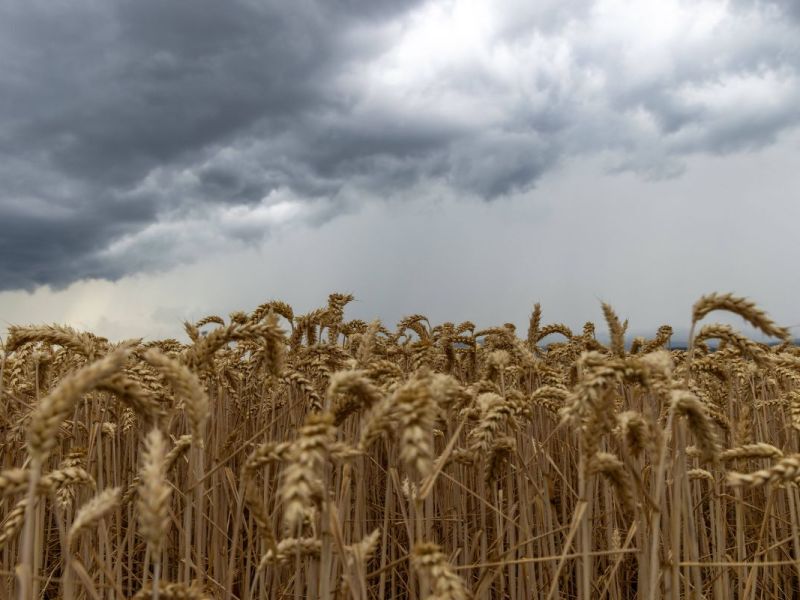 Heftiges Unwetter über Deutschland – HIER warnen Experten nun sogar vor „Lebensgefahr“