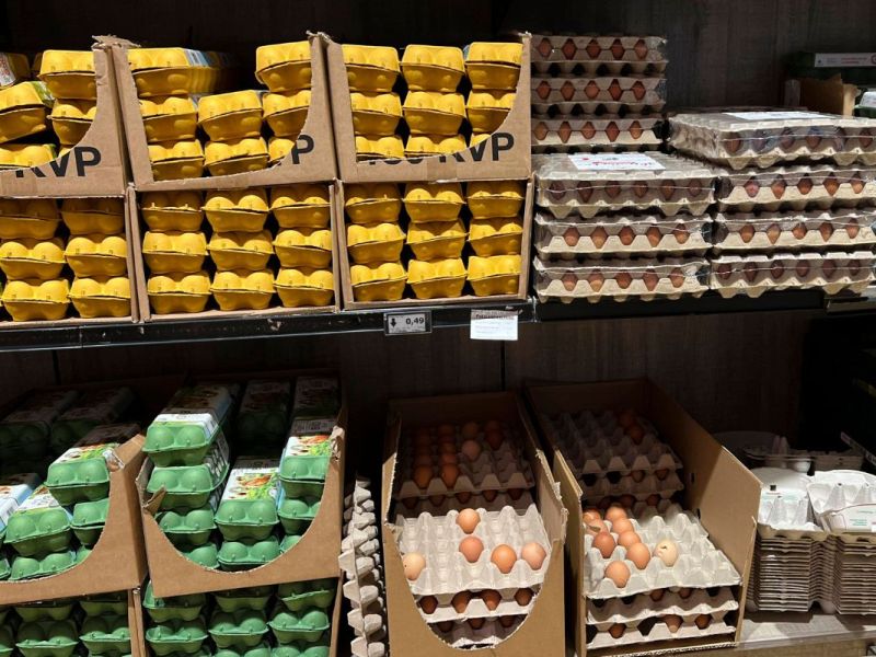 Eier bei Rewe, Lidl und Co. – DAS war uns jahrelang nicht bewusst