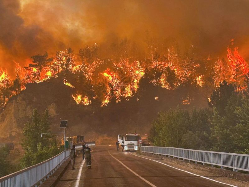 Tote & Erschreckende Bilder! Beliebte Urlaubsorte in der Türkei vor Feuer-Katastrophe