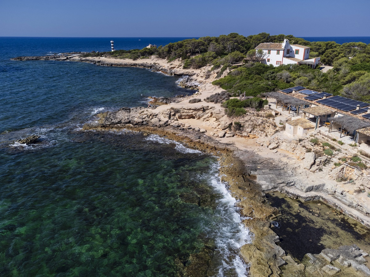 Spektakuläre Entdeckung im Wasser! Für Mallorca-Urlauber wird sie unangenehm