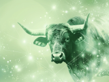 Stier in grünem Universum