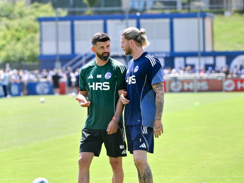 Gute Nachrichten für Königsblau – Schalke-Plan geht voll auf