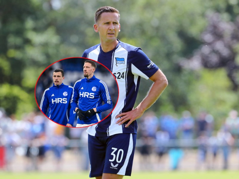 Schalke-Profi mit Seguin-Ansage! Seine Worte lassen keine Zweifel zu