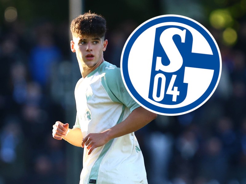 FC Schalke 04: Klub verkündet bitteren Abgang – die Chance für den S04!
