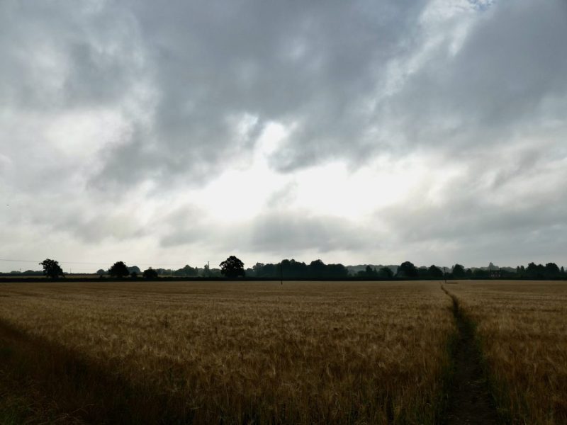 „Hundstage“ in NRW auf der Kippe! Wetter-Experte muss schlucken