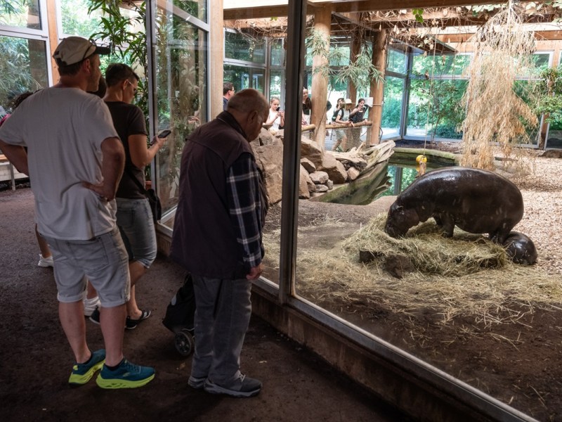Zoo Duisburg verkündet neue Besucher-Regeln – sie gelten jeden Tag
