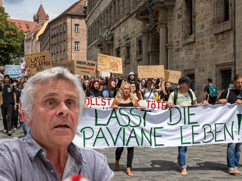 Tiergarten-Chef in Nürnberg lässt Affen töten – seine Anfänge machte er in diesem NRW-Zoo