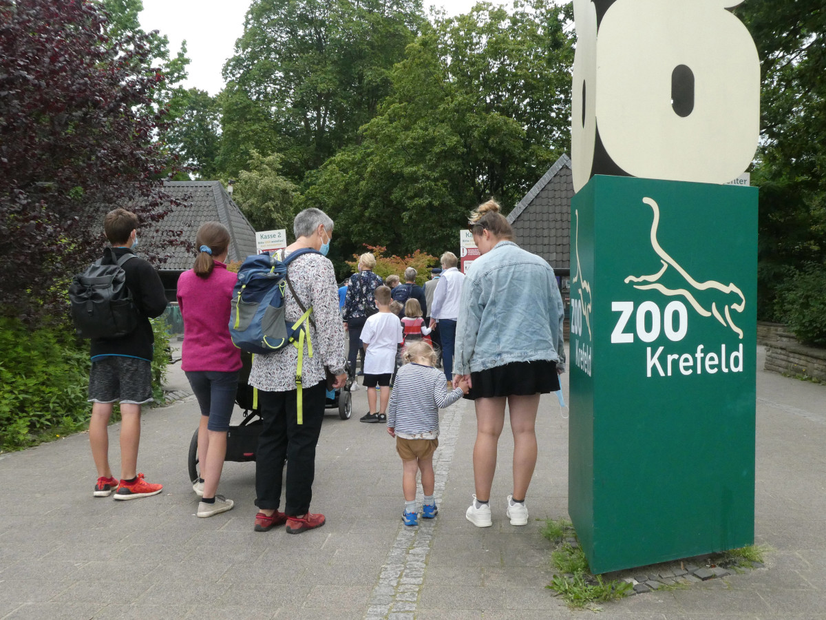 Zoo-Pfleger in NRW blicken besorgt ins Gehege – dann bleibt ihnen keine andere Wahl