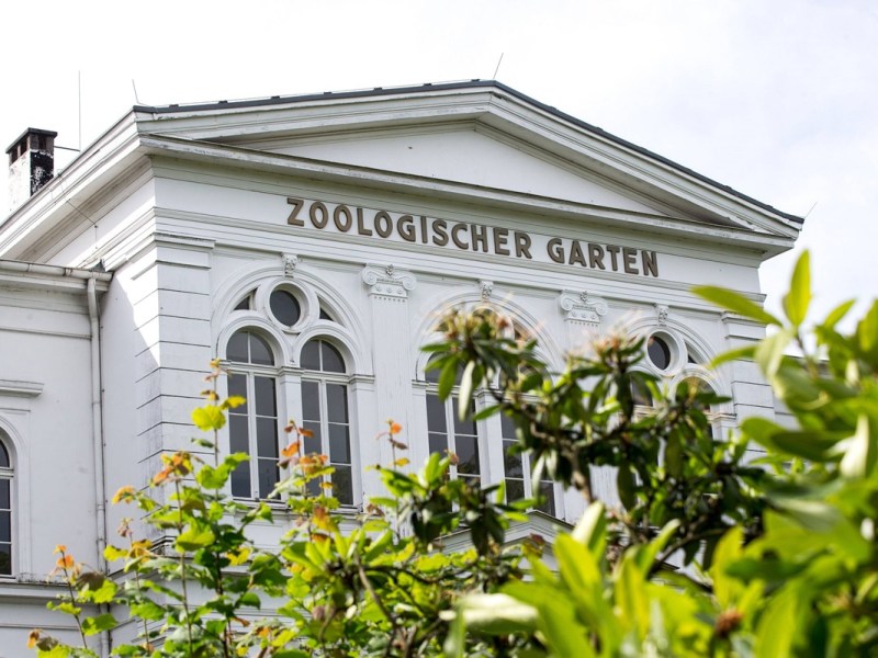 Zoo in NRW muss kompletten Bereich schließen – „Achtung“