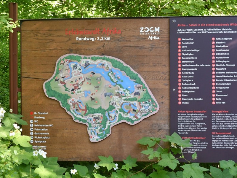 Kind entdeckt seltsame Wesen im Zoom Gelsenkirchen – das steckt dahinter