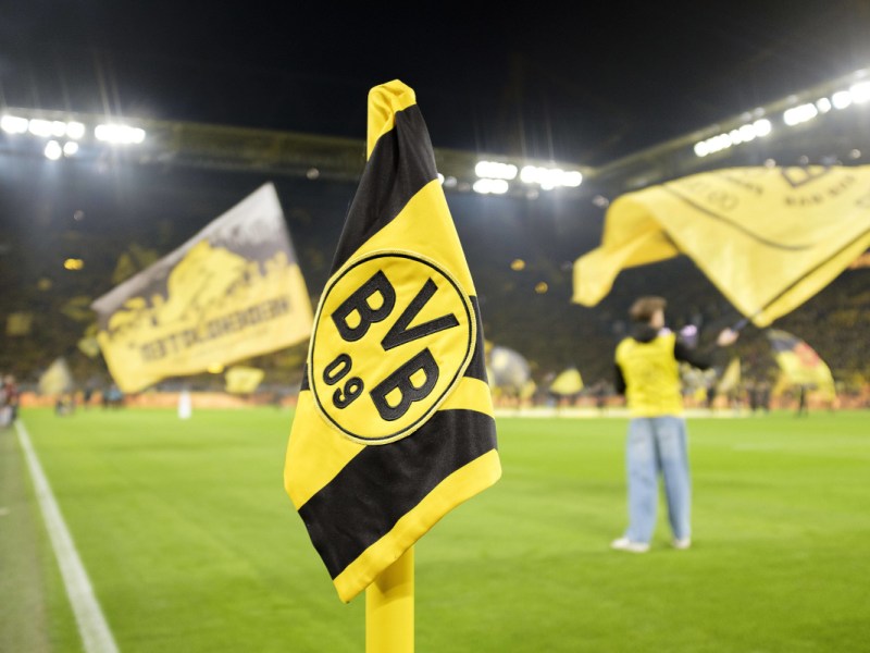 BVB im Streit mit der AfD – Verein wirft „rechtswidrige Handlung“ vor